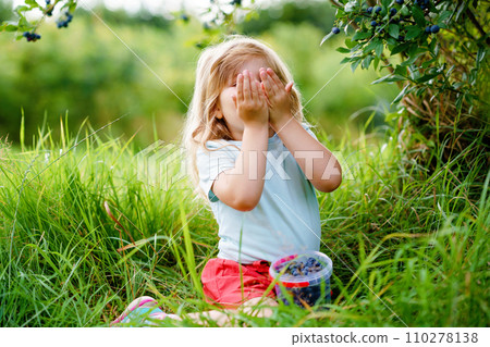 Little preschool girl picking fresh berries on blueberry field. Toddler child pick blue berry on organic orchard farm. Toddler farming. Preschooler gardening. Summer family fun. Healthy bio food. Little preschool girl picking fresh berries on blueberry field. Toddler child pick blue berry on organic orchard farm. Toddler farming. Preschooler gardening. Summer family fun. Healthy bio food. 110278138