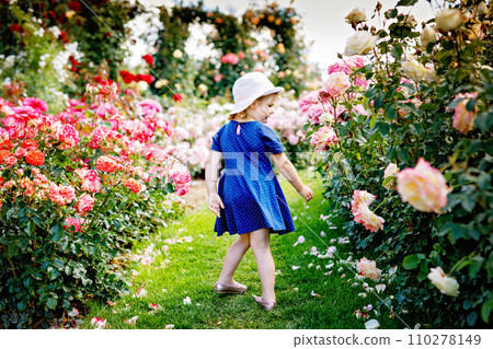 Portrait of little toddler girl in blossoming rose garden. Cute beautiful lovely child having fun with roses and flowers in a park on summer sunny day. Happy smiling baby. Portrait of little toddler girl in blossoming rose garden. Cute beautiful lovely child having fun with roses and flowers in a park on summer sunny day. Happy smiling baby. 110278149