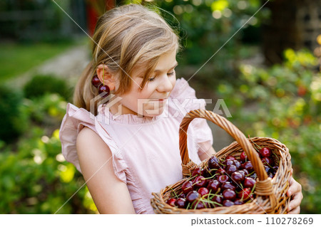 Beautiful girl in the garden. Happy girl with cherries. Preschol child with basket full of ripe berries and fun cherry earrings. Beautiful girl in the garden. Happy girl with cherries. Preschol child with basket full of ripe berries and fun cherry earrings. 110278269