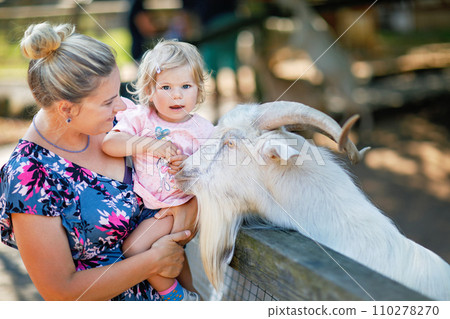 Adorable cute toddler girl and young mother feeding little goats and sheeps on kids farm. Beautiful baby child petting animals in petting zoo. Woman and daughter together on family weekend vacations 110278270