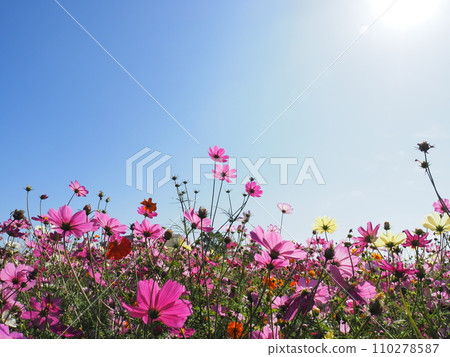 宇宙被太陽照亮 110278587