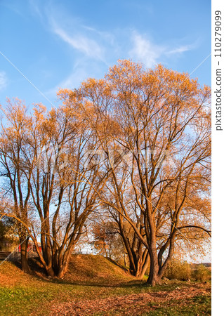 Scenic nature view. Autumn landscape in Latvia. 110279099