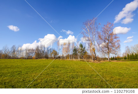 Scenic nature view. Autumn landscape in Latvia. 110279108