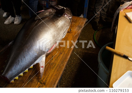 A plump, fat tuna with the best fat 110279153
