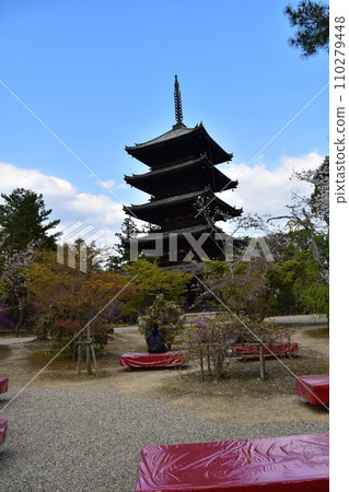 Kyoto in spring in Japan, Ninnaji Temple, a world heritage site, a five-storied pagoda and beautiful cherry blossoms, a Japanese teahouse with red chair benches Kyoto in spring in Japan, Ninnaji Temple, a world heritage site, a five-storied pagoda and beautiful cherry blossoms, a Japanese teahouse with red chair benches 110279448
