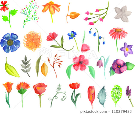 Floral set Floral set 110279483