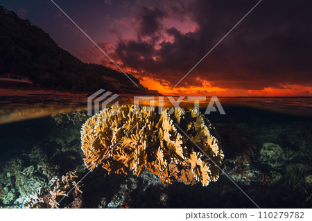 Tropical seascape with coral underwater and colorful sunset or sunrise, split view with artificial light 110279782