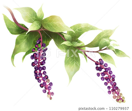 西式山牛肉 110279937