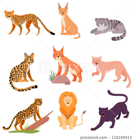 Set of different wild cats. Vector illustration on a white background. Set of different wild cats. Vector illustration on a white background. 110280913