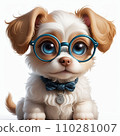 cute puppy with big round eye. 110281007