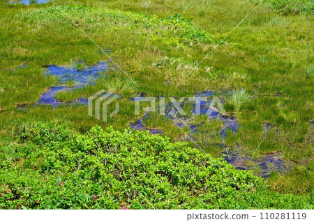 Wetlands near Mt. Yaishishidake Ubaishidaira 110281119