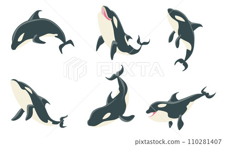Killer Whales Set, Orca Marine Mammal Animal Leaping Out of Water Vector Illustration Killer Whales Set, Orca Marine Mammal Animal Leaping Out of Water Vector Illustration 110281407