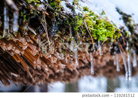 Icicles on the reed roof of an old wooden house. Spring, thaw. 110281512