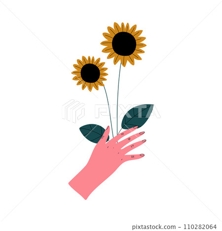 Female Hand Holding Blooming Sunflowers, Elegant Decorative Floral Design Element Vector Illustration 110282064