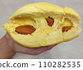 Closeup lady hand holding yellowish organic riped durian with tiny seeds isolated on grey background, Southeast asia tropical smell fruit 110282535