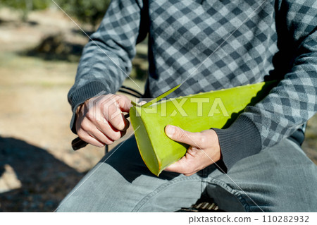 a man cuts the edges of a leaf of aloe vera a man cuts the edges of a leaf of aloe vera 110282932