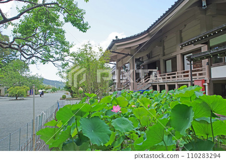 Shingon sect Omuro school in Munakata City, Fukuoka Prefecture 110283294