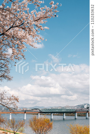 Ayang bridge and riverside park with cherry blossoms in Daegu, Korea Ayang bridge and riverside park with cherry blossoms in Daegu, Korea 110283632