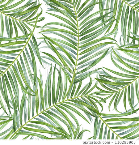 Palm Leaf seamless Pattern. Watercolor botanical illustration of Tropical branches. Hand drawn on isolated background. Exotic plant painting. Drawing of coconut foliage. Nature ornament summer print 110283903