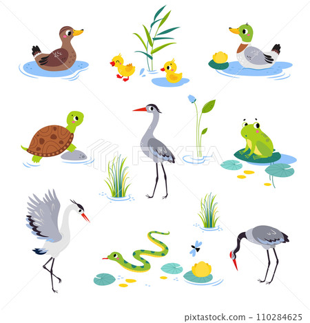 Swamp with Animals and Growing Water Plants Vector Set 110284625