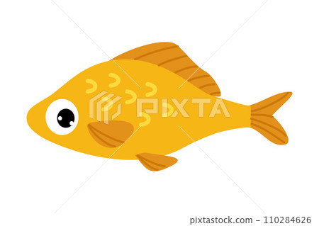 Sea and Freshwater Fish with Fins Swimming Vector Illustration 110284626