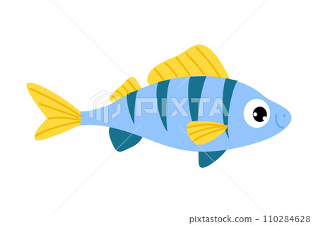 Sea and Freshwater Fish with Fins Swimming Vector Illustration Sea and Freshwater Fish with Fins Swimming Vector Illustration 110284628