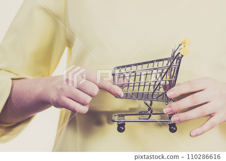 Woman holding small shopping cart 110286616