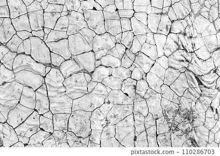 Cracked scaly surface - texture Cracked scaly surface - texture 110286703