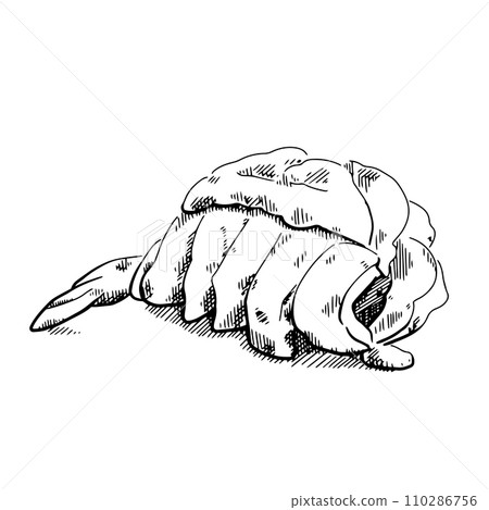 Grilled Lobster on plate. Sketch, line drawing Grilled Lobster on plate. Sketch, line drawing 110286756