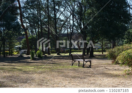 Scenery of Yoyogi Park Scenery of Yoyogi Park 110287185