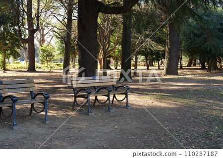 Scenery of Yoyogi Park Scenery of Yoyogi Park 110287187