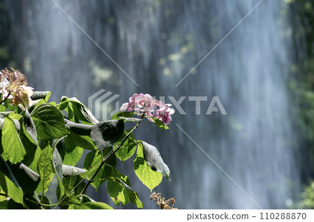 Tanashitafudo Falls in Shibukawa City, Gunma Prefecture Tanashitafudo Falls in Shibukawa City, Gunma Prefecture 110288870