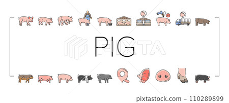 pork pig farm animal piglet hog icons set vector 110289899
