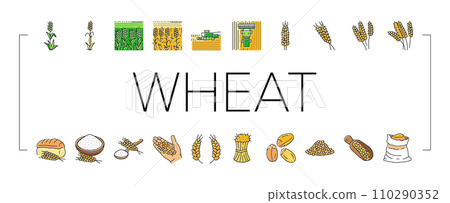 wheat grain bread harvest icons set vector wheat grain bread harvest icons set vector 110290352