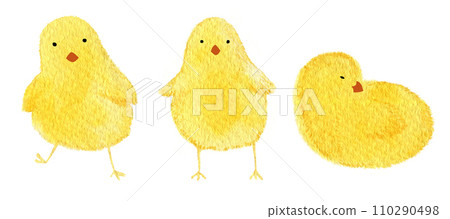 Easter chicks in different poses in yellow for cards Easter chicks in different poses in yellow for cards 110290498