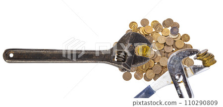 Allegory of the global financial crisis - Iron 10 rubles coin (written ten rubles, the Bank of Russia) in the grip of economic crisis, on a white background. Finance and business concept Allegory of the global financial crisis - Iron 10 rubles coin (written ten rubles, the Bank of Russia) in the grip of economic crisis, on a white background. Finance and business concept 110290809