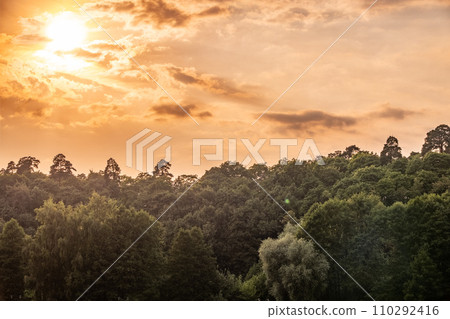 Thick green forest on the hillside. 110292416