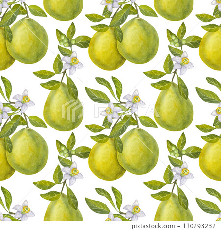 Seamless pattern pomelo citrus. Fresh yellow green fruit. Branches with leaves, flower. Hand drawn watercolor illustration isolated on white background. For printing on packaging, fabrics Seamless pattern pomelo citrus. Fresh yellow green fruit. Branches with leaves, flower. Hand drawn watercolor illustration isolated on white background. For printing on packaging, fabrics 110293232