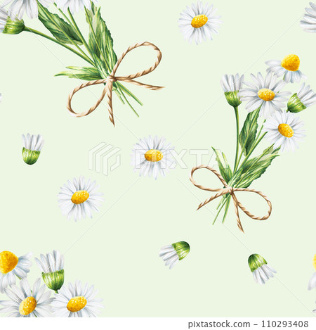 Watercolor seamless pattern with white daisy flowers illustration isolated on white background. Chamomile. Detail of beauty products and botany set, cosmetology and medicine. For designers, spa 110293408
