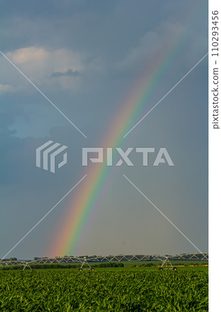Large irrigation system in a green field, with a beautiful rainbow forming in the spray against a backdrop of cloudy skies 110293456