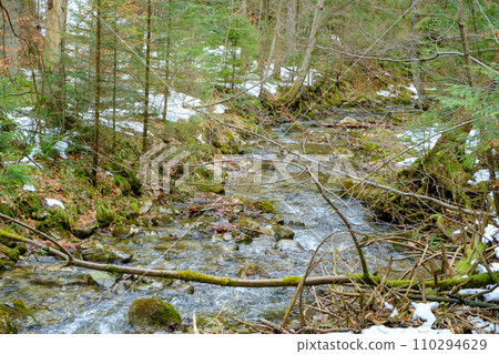 Small river in Strazyska valley in Winter. Tatra mountains in Poland, Europe 110294629