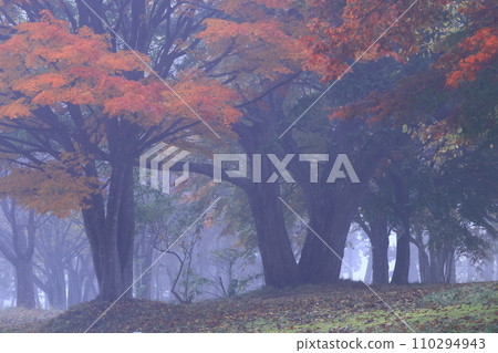 岩手縣北上市市蒲山紅葉遺址 110294943