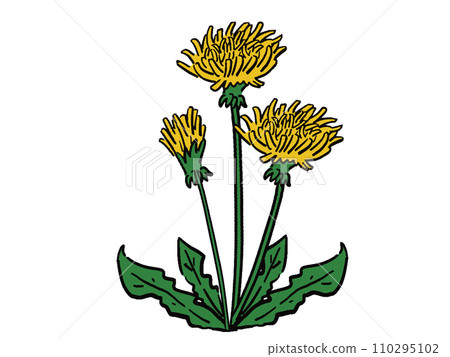 手繪風格的蒲公英插畫 110295102