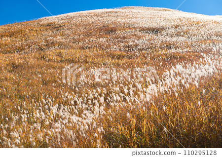 攀登湧貝山“一目山的蒲葦” 110295128