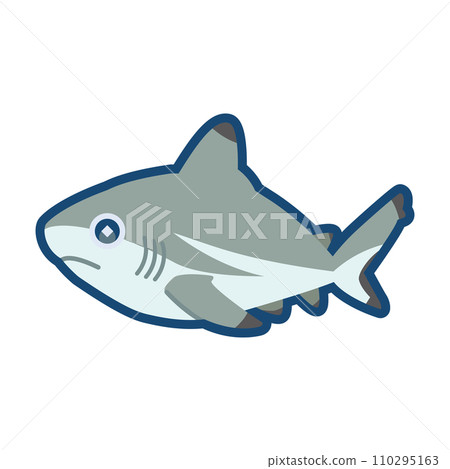 Cute blacktip shark illustration 110295163