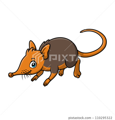 Cute elephant shrew cartoon on white background Cute elephant shrew cartoon on white background 110295322