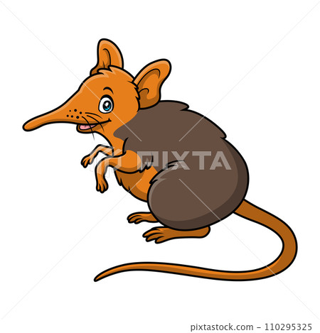 Cute elephant shrew cartoon on white background Cute elephant shrew cartoon on white background 110295325
