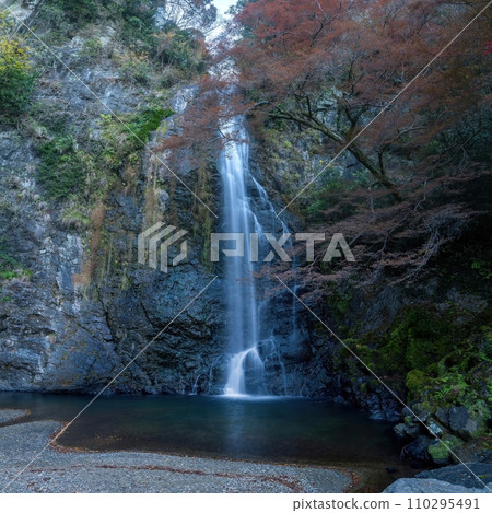 Dynamic late autumn scene of Minoh Falls 110295491