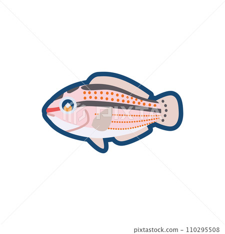 Illustration of cute Kyusen (female) Illustration of cute Kyusen (female) 110295508