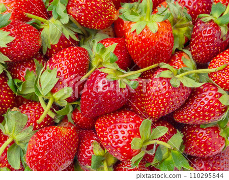 Fresh organic Strawberry fruit background 110295844